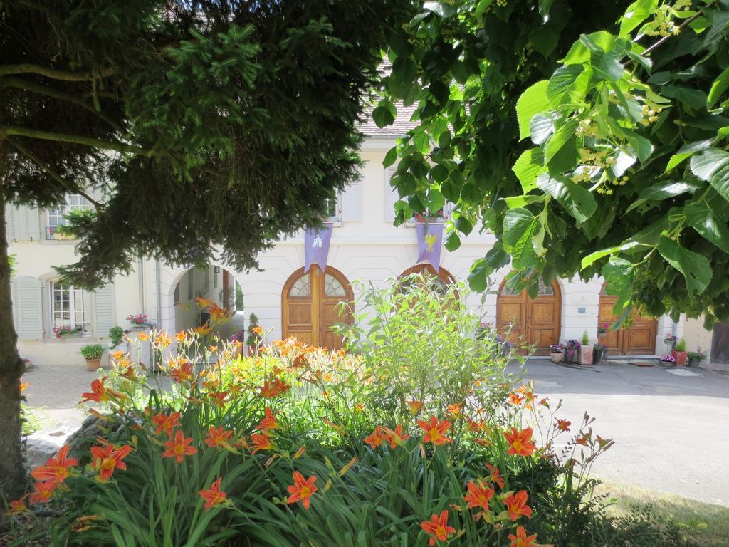 La Maison Des Fontaines D'Alsace Ferrette Pokoj fotografie