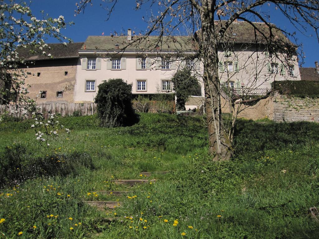 La Maison Des Fontaines D'Alsace Ferrette Pokoj fotografie