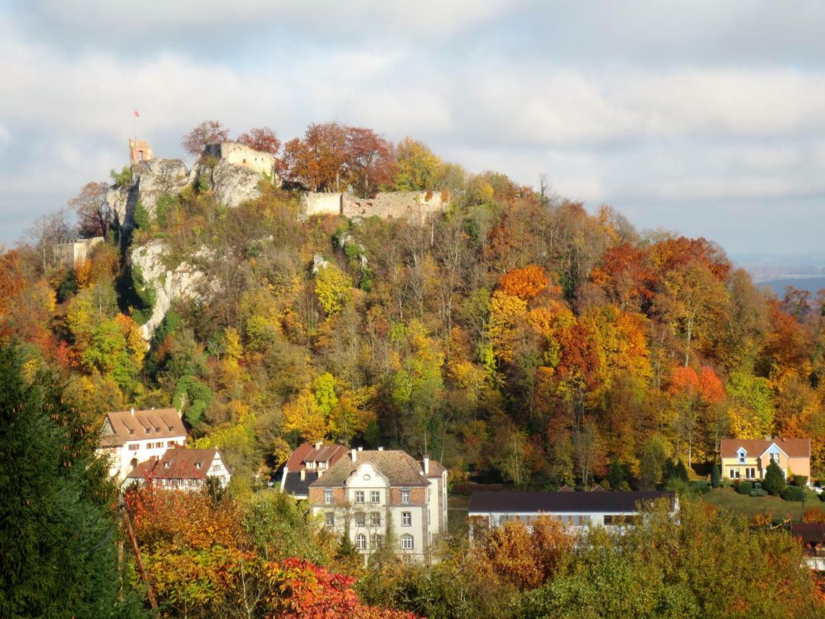 La Maison Des Fontaines D'Alsace Ferrette Exteriér fotografie